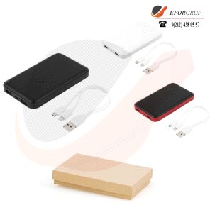 Dual şarj 10000 mAh PowerBank