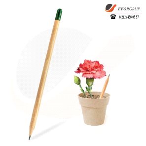 Mini Saksı - Tohumlu Kalem