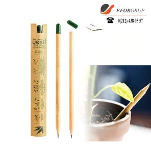 Tohumlu Promosyon Kurşun Kalem