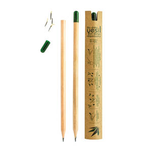 Tohumlu Kurşun Kalem