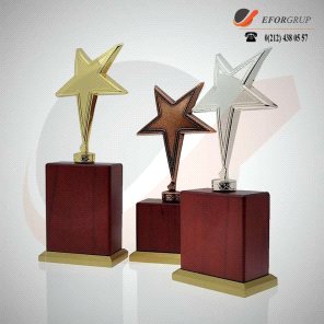 Yıldızlı Ödül Plaketi