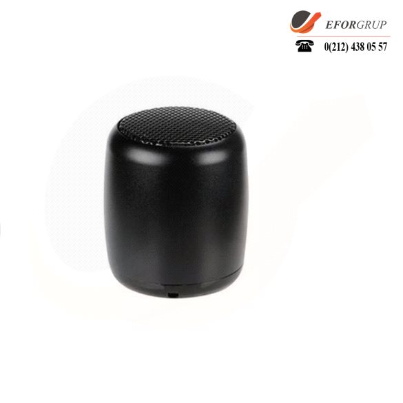 Bluetooth Mini Hoparlör