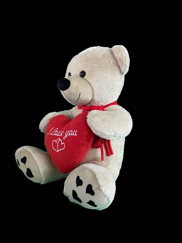 Oturan Kalpli Ayıcık