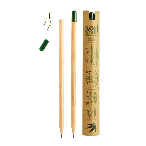 Tohumlu Kurşun Kalem